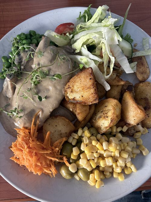 Does a vegan schnitzel and mushroom sauce and sides. Limited vegan options. They have a salad bar. Nothing special but still a good meal in a Swedish pub.   at Blecktornskällaren in Stockholm