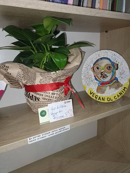 Go vegan, darling! at Ayrışım Kitabevi Kafe in Istanbul