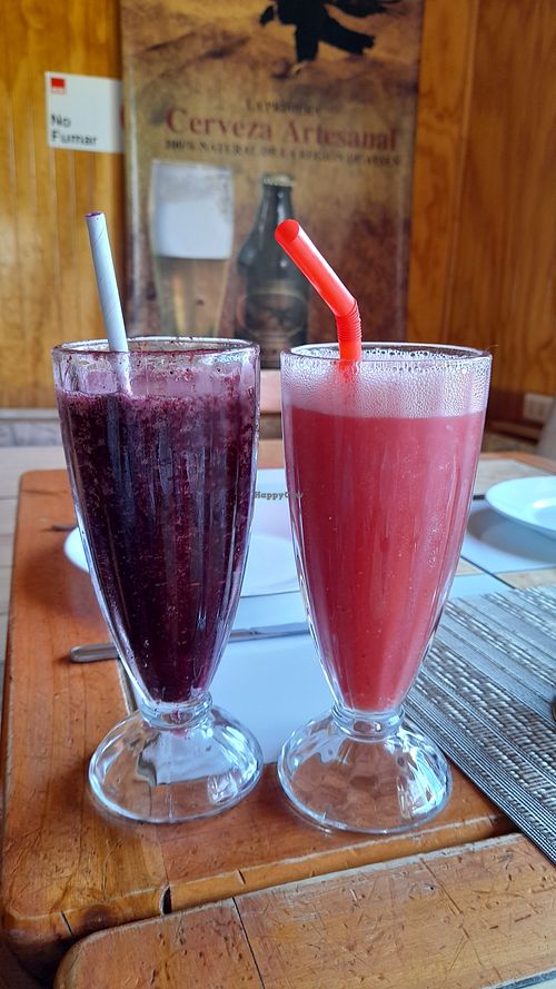 Natural juices made with local fruits at El Rincón De Mirna in Aysen