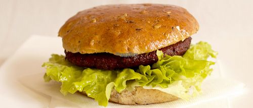 Veggie burger at Vegehop - Remetinecki in Zagreb