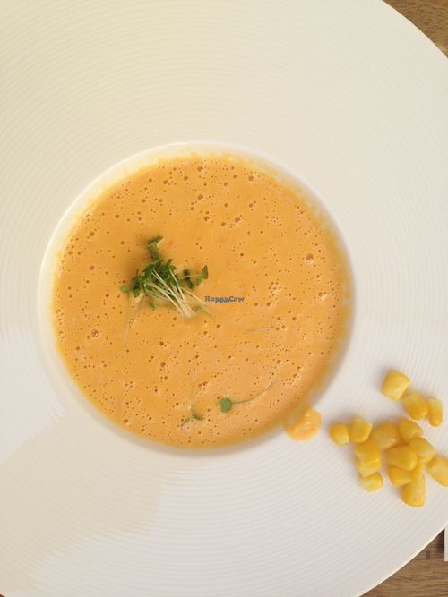Raw corn soup (soup of the day) at Rawcha in Prague