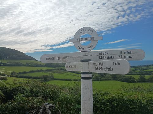 View from outside seating area at Felicity's Farm Shop  in Bridport