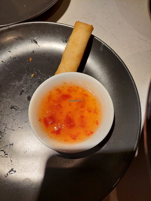 Spring rolls, said to be vegan at Tiger Ramen Bodø in Bodo