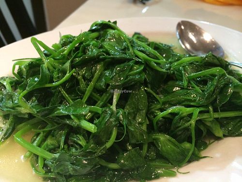 Spinach at Authentic Vegetarian Restaurant in Auckland
