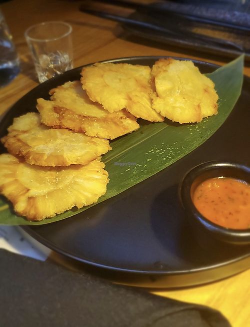 Tostones appetizer.  at Yunta in Charlotte