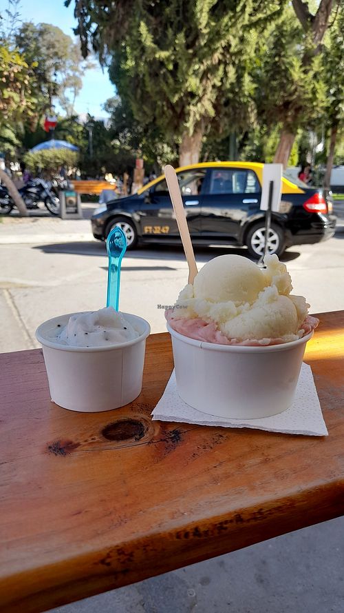 Helados de copao (izquierda) y canela con papaya (derecha) at La Bilbaina in Vicuna