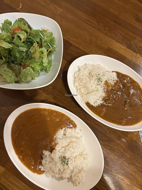 2 types of vegan curries and salad  at The Nameless - 名もなき店 in Yamagata