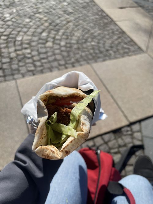 Falafel sandwich  at Albasha Restaurant in Osnabrueck