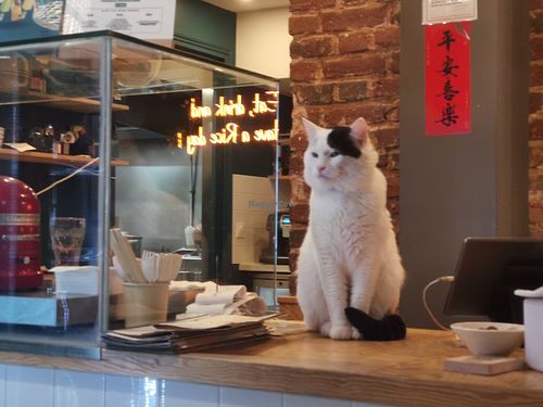  at AMA Asian Bistro   in Boulogne-billancourt