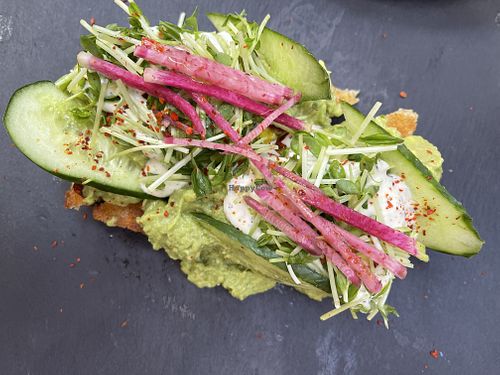 Avo toast  at Gracias Madre - WeHo in West Hollywood