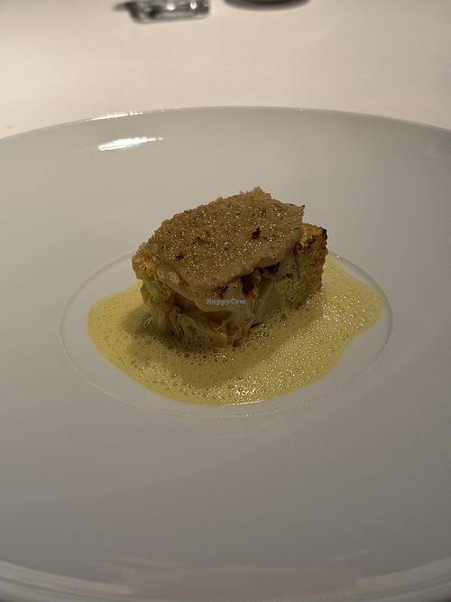 Cabbage  at Triptyque in Wateringen