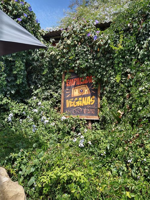 Offer three different vegan empanadas at La Pérgola del San Criss in Santiago