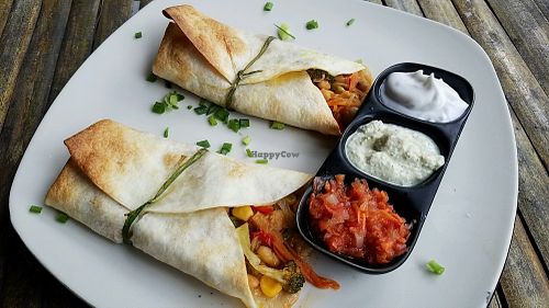 burrito at Green Gallery in Koh Phangan