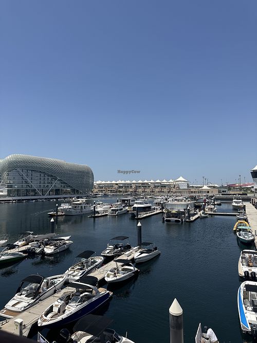   at Diablito in Abu Dhabi