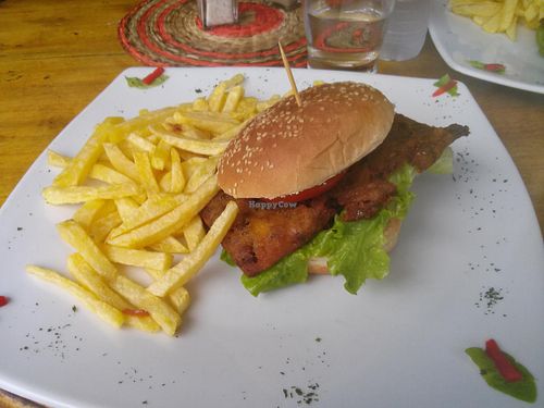 veggie burger w/fries at Karukera in Montanita
