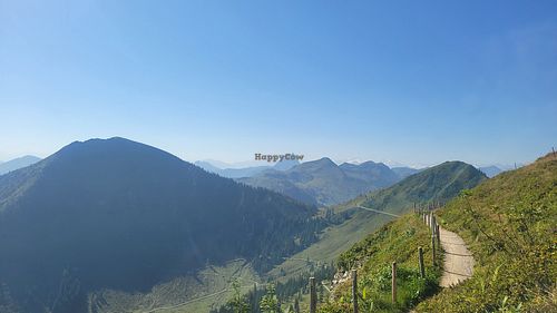  at Rice & Fries in Westendorf