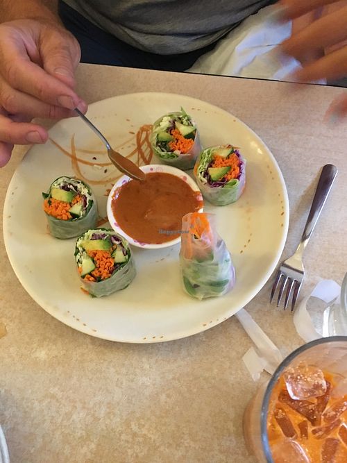 spring roll at Red Curry Vegan Kitchen in Flagstaff