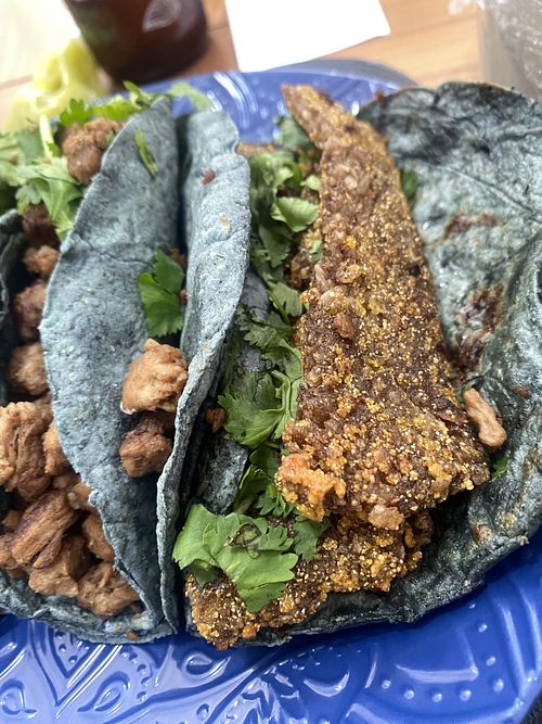 Extreme Close-Up Taco de Milanesa (Sin Cebolla) Yay!!!  at Karma Vegano in Mexico City