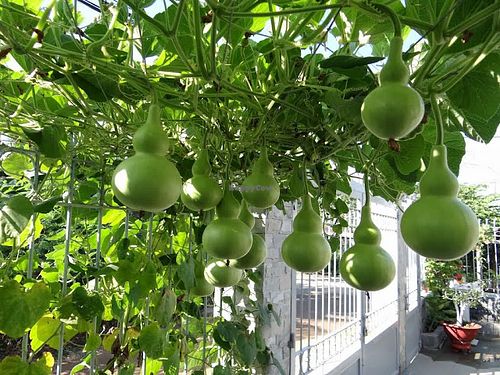  at Jack Glockenbach in Munich