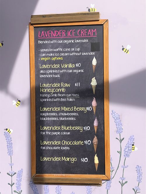 Ask which can be vegan - from memory I think both blueberry and mixed berry can be made 100% vegan. Honeycomb is an option for those who eat bee products.  at NZ Alpine Lavender in Twizel