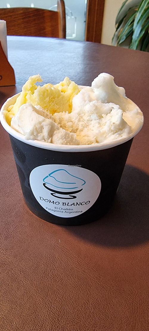 Gelato - lemon, Orange, and Lemon Ginger (my favourite) at Domo Blanco in El Chalten