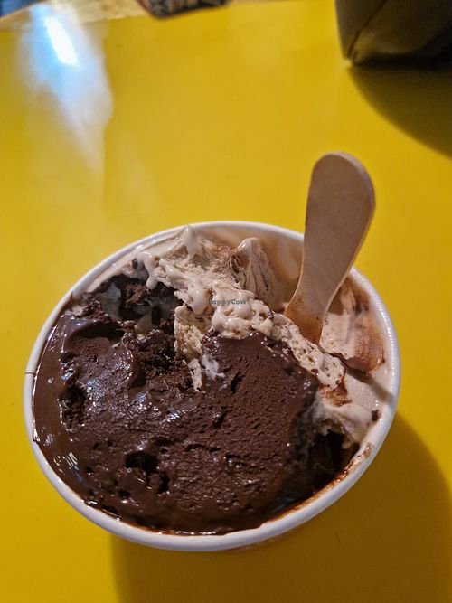 Vegan ice cream at Cream Choc Gelato  in Anjuna