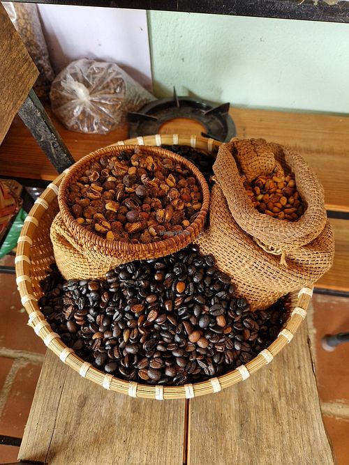 Kaffee der Farm, Kaffeetour at Midori Coffee Farm in Lam Dong