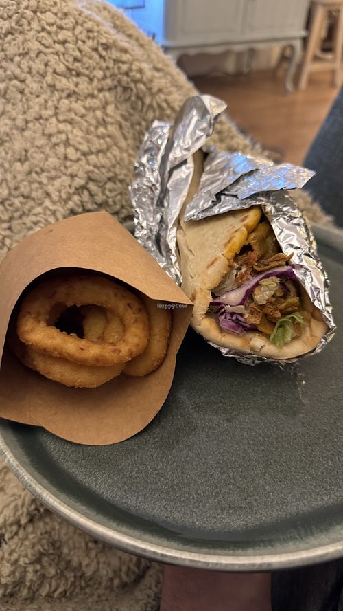 Onion rings en chicken doner  at Doner Dudes in Groningen
