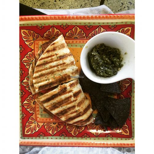 vegan pesto panini with a side of pesto! at Community Cafe in St Petersburg