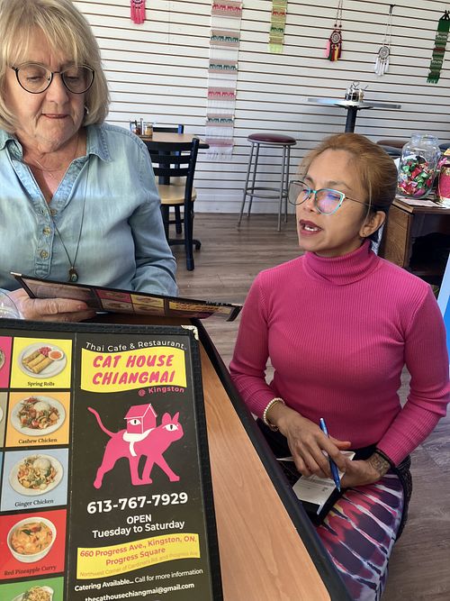   at Cat House Chiangmai in Kingston