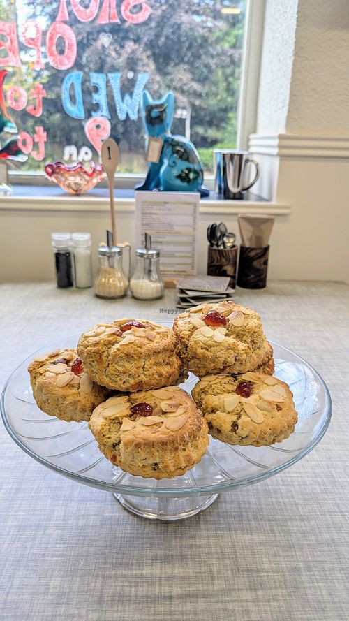 Vegan cherry & almond scones at Modern Story in Kings Lynn