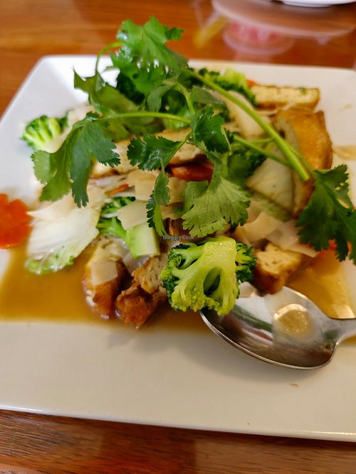 Rice noodle tofu stir fry at Pho Cali  in Wilmington