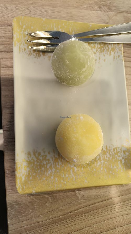 Mochi at Jardín de Yunnan  in Sevilla