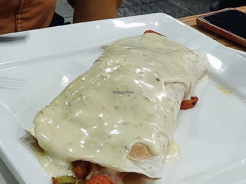 Veggie birito with cheese at Don Nachos Fairburn in Fairburn