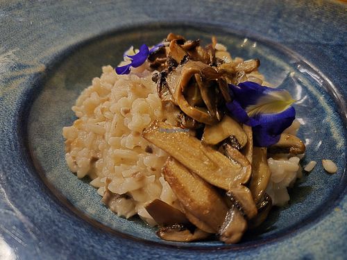 vegan coconut musgroom risotto at Reef Restaurant in Bora Bora