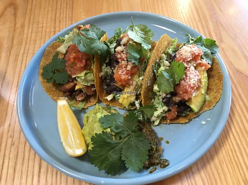 raw tacos at Little Bird Kitchen in Auckland