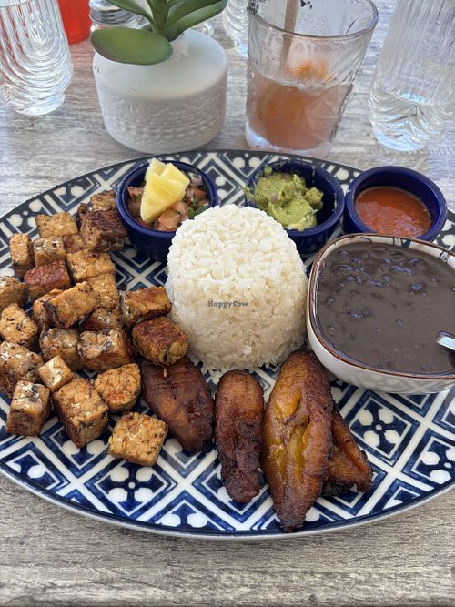   at Casa Playa in Fort Lauderdale