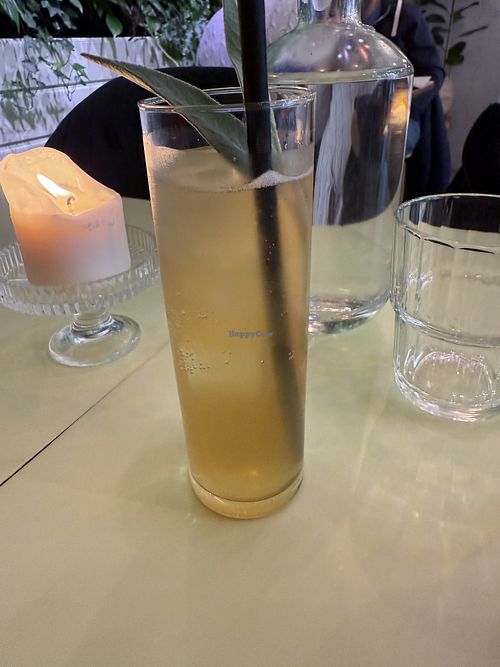 Kombucha  at LAS in Lodz