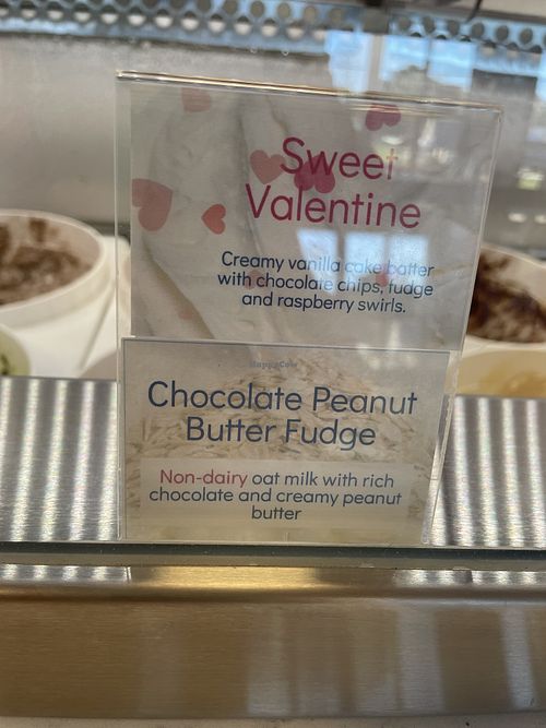 Chocolate Peanut Butter Fudge Ice Cream   at Fannie Lou's Ice Cream in Pensacola