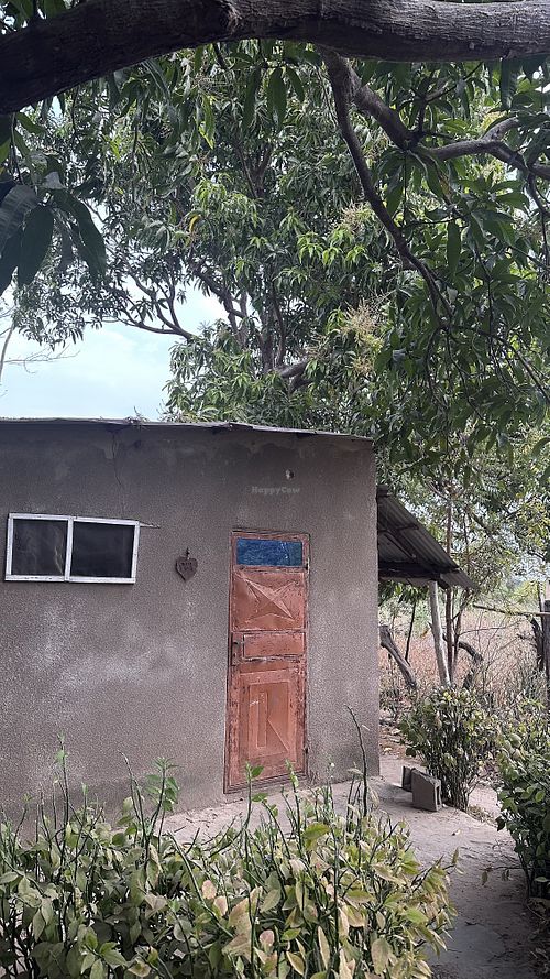 Huts   at Good Vibes Eco Lodges in Kafuta