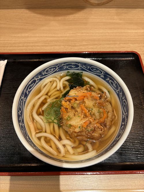 Vegan udon with tempura vegetables   at Oedo Udon Sakura - 大江戸うどん さくら in Tokyo