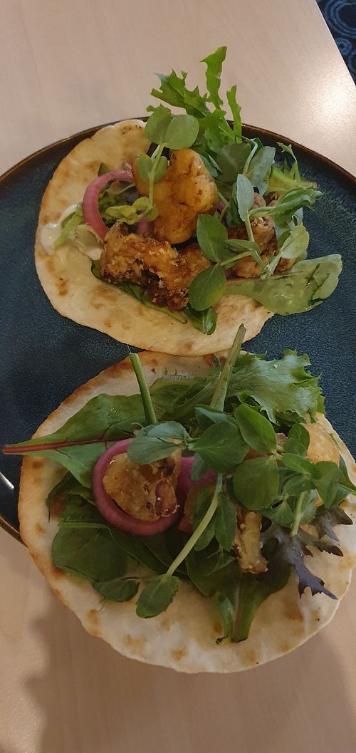 Tacos at Hallidays Point Tavern in Black Head