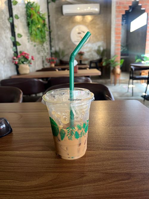 Iced Oat Lattee  at Vangvieng Center Cafe in Vang Vieng