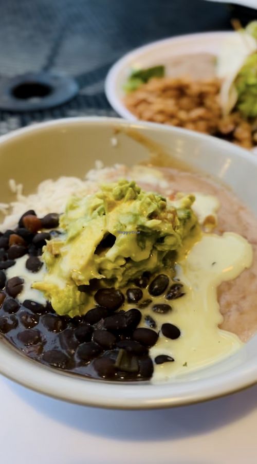 Rice bowl  at Cactus Flower Cafe in Pensacola