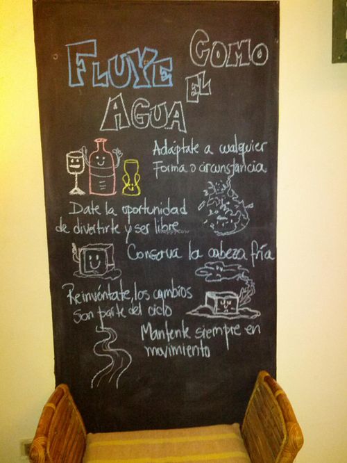 'Flow like the water'... at Vida Plena Resto Organico in Mendoza