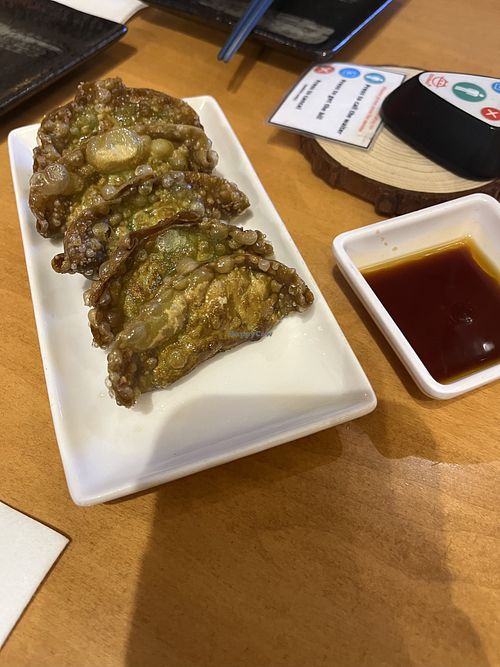 Vegetable gyoza  at Osaka's in Boulder