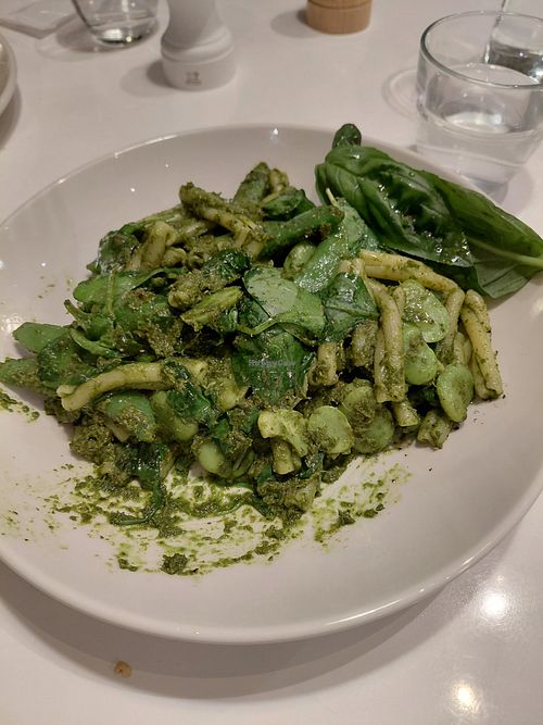 Pesto pasta at Bills - Shichirigahama in Kamakura