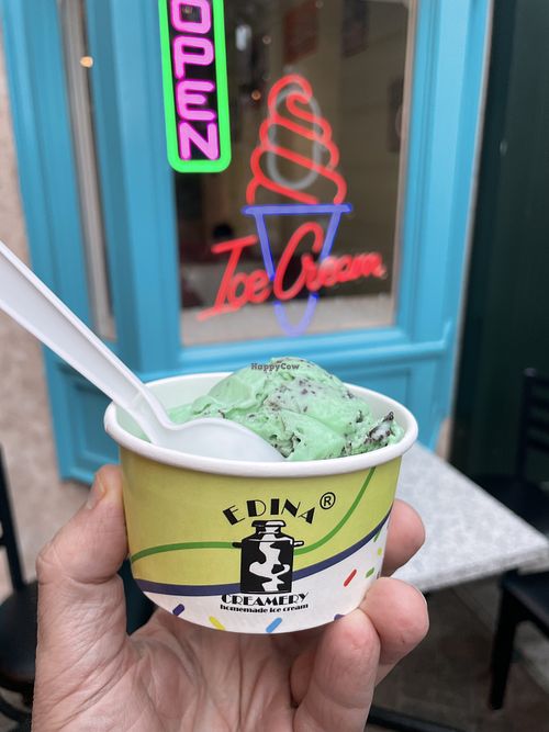 Vegan mint chip!  at Edina Creamery in Edina
