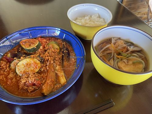 Vegan curry with miso soup and ricee  at Neruson Village Fusaya Mountain Lodge - ねるそん村 房谷山荘 in Chiba