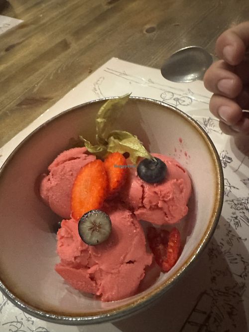 Berry sorbet  at Aegir Microbrewery in Flaam